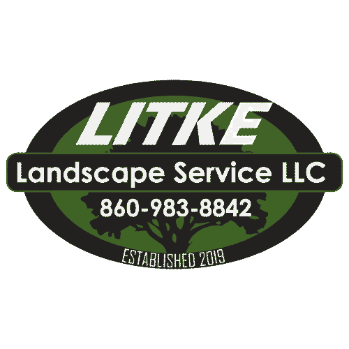 Litke Landscape