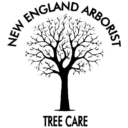 New England Arborists Tree Care
