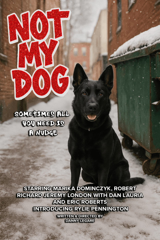 Not My Dog